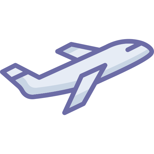 flight